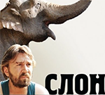 Pokaz filmu: "Słoń"
