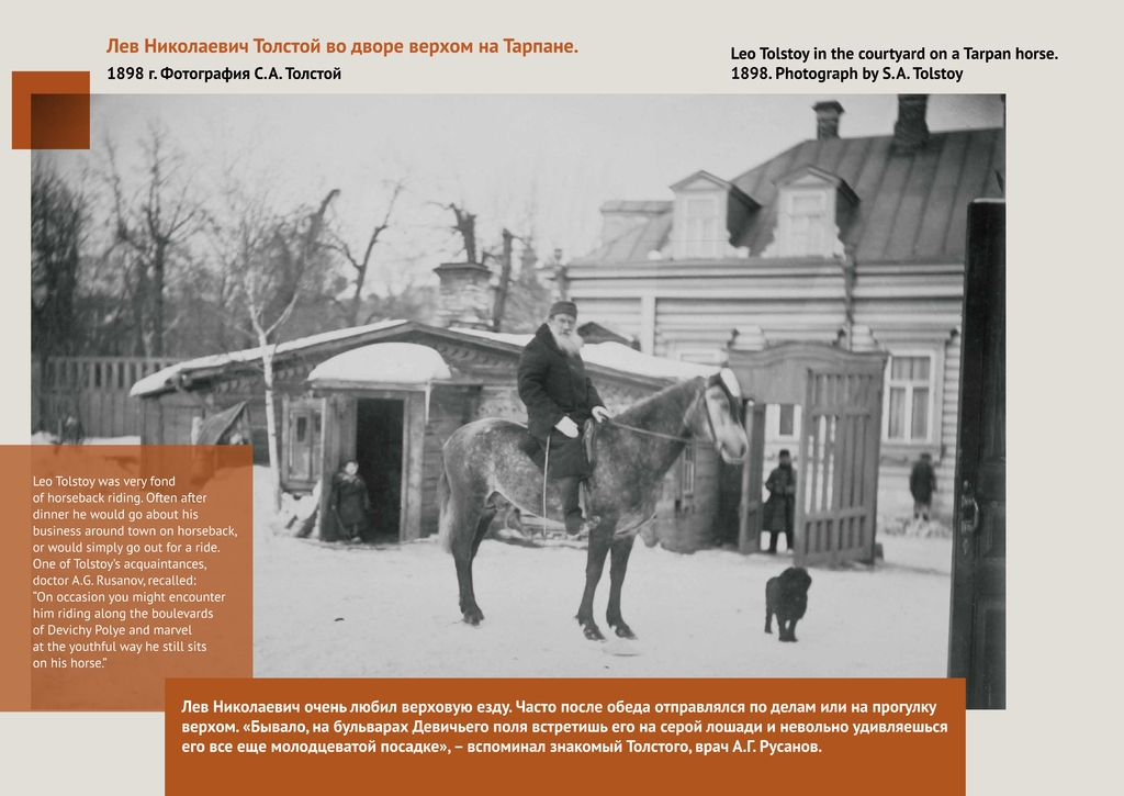 All_Tolstoy_195_page-0017.jpg All_Tolstoy_195_page-0017.jpg